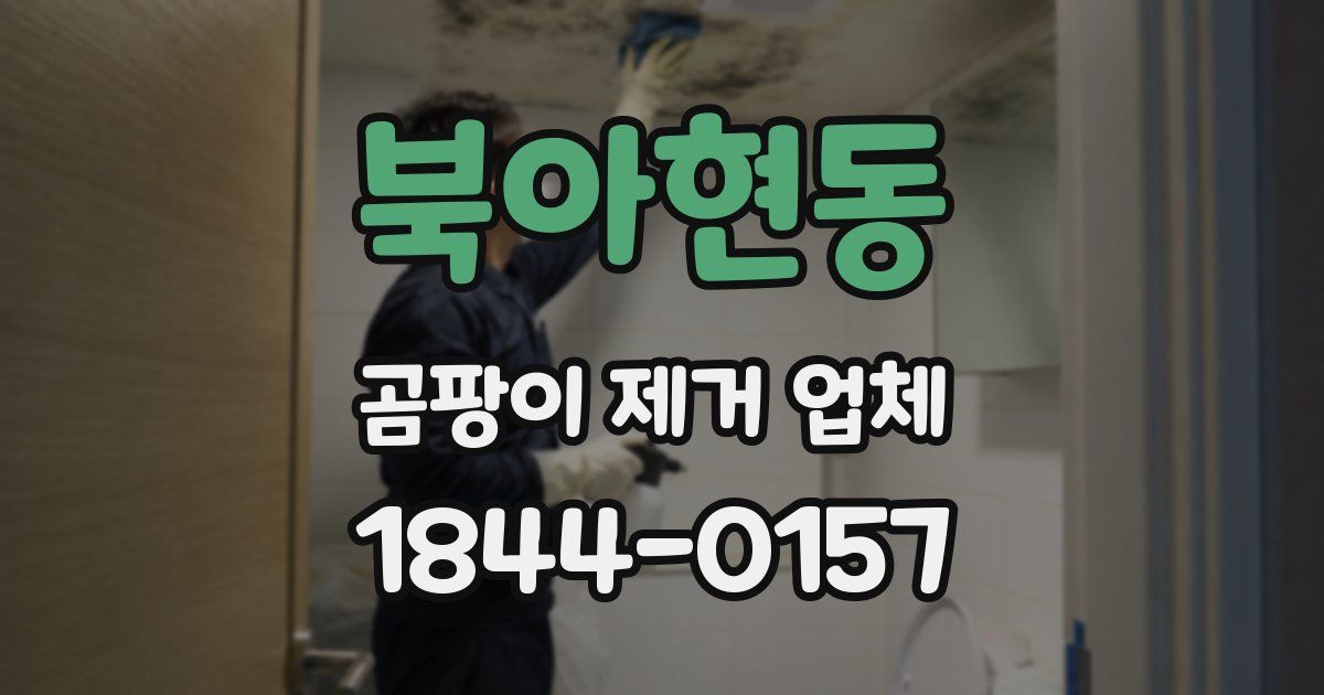 북아현동 곰팡이 제거 업체