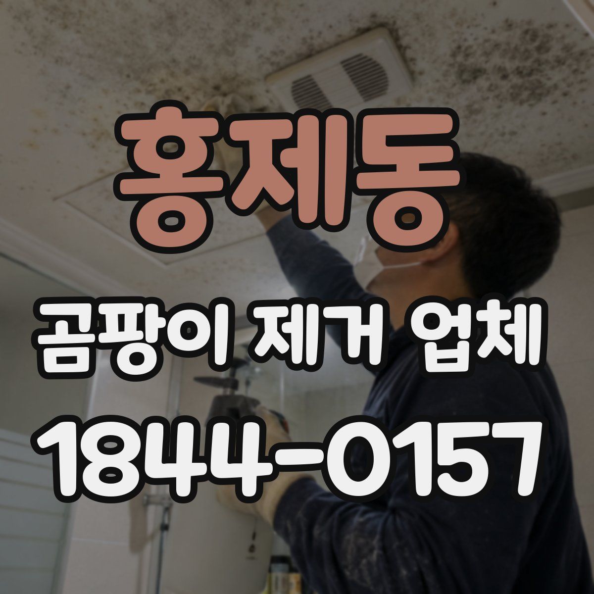 홍제동 곰팡이 제거 업체
