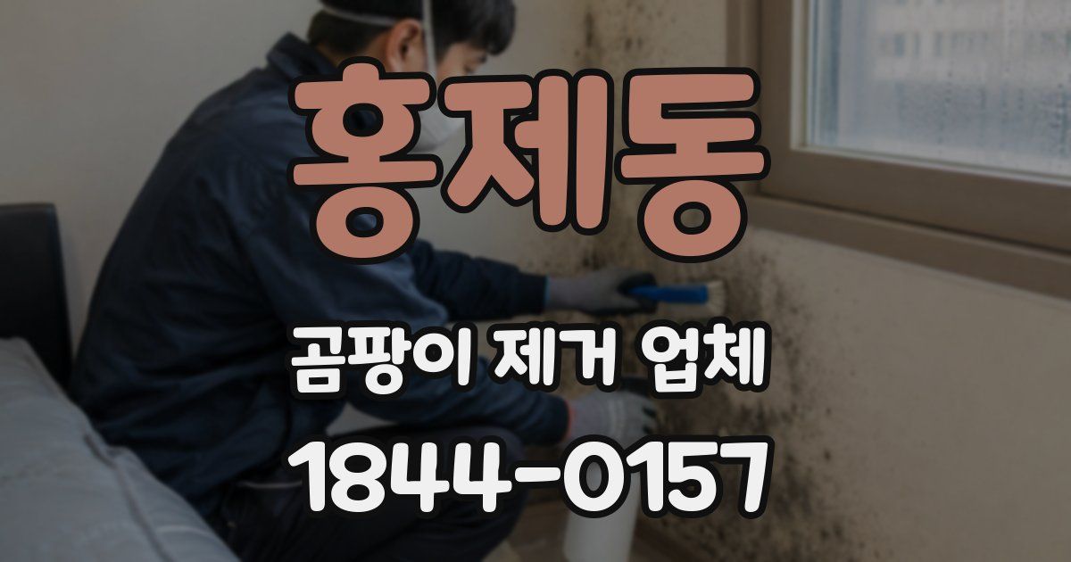 홍제동 곰팡이 제거 업체
