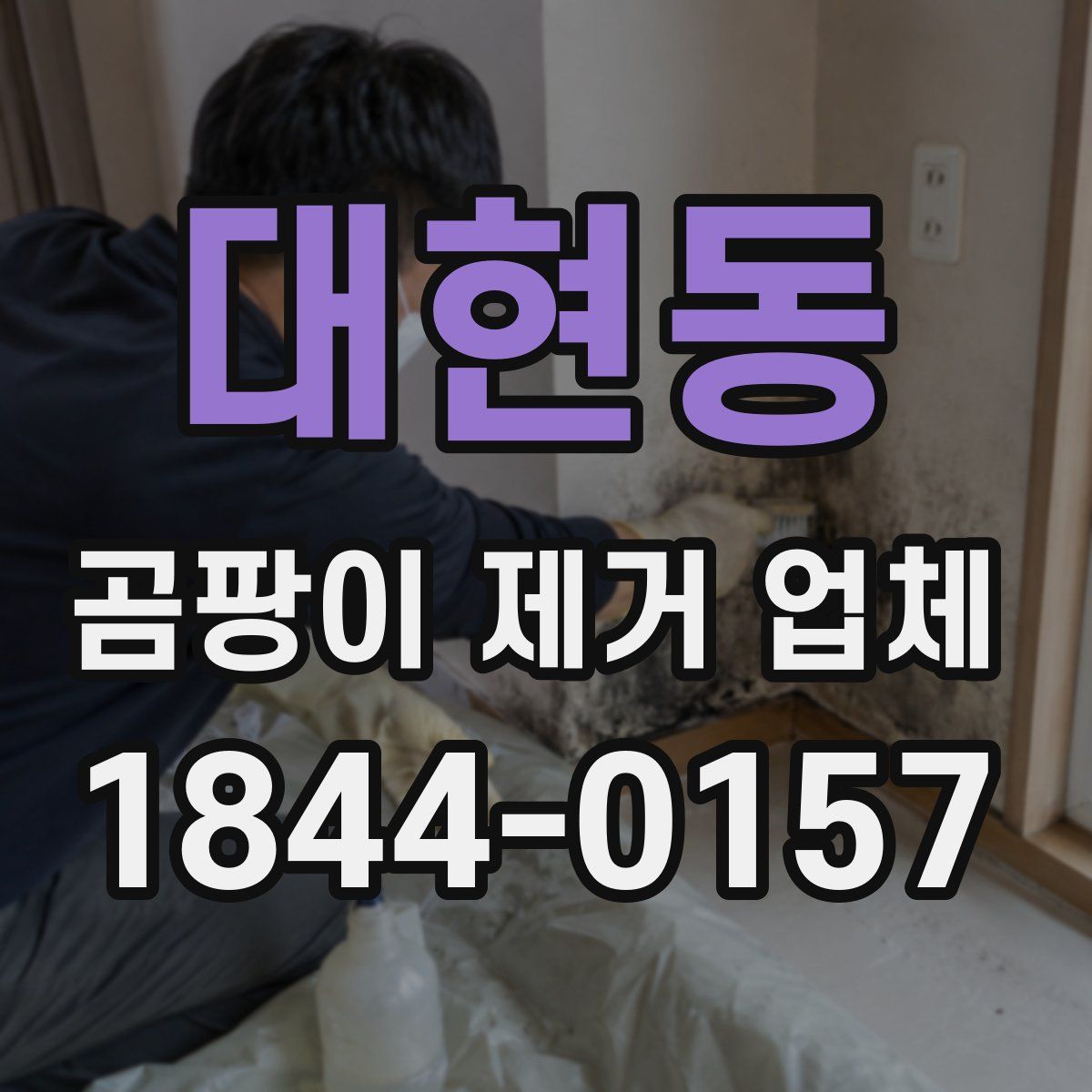 대현동 곰팡이 제거 업체