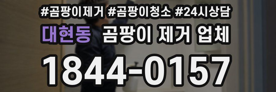 대현동 곰팡이 제거 업체