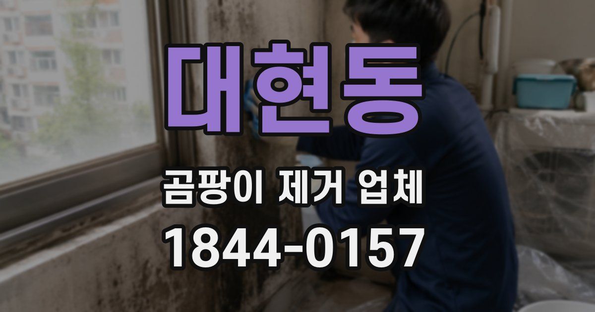 대현동 곰팡이 제거 업체
