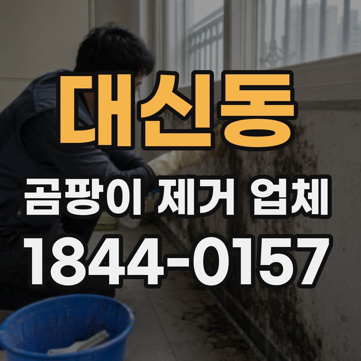 대신동 곰팡이 제거 업체