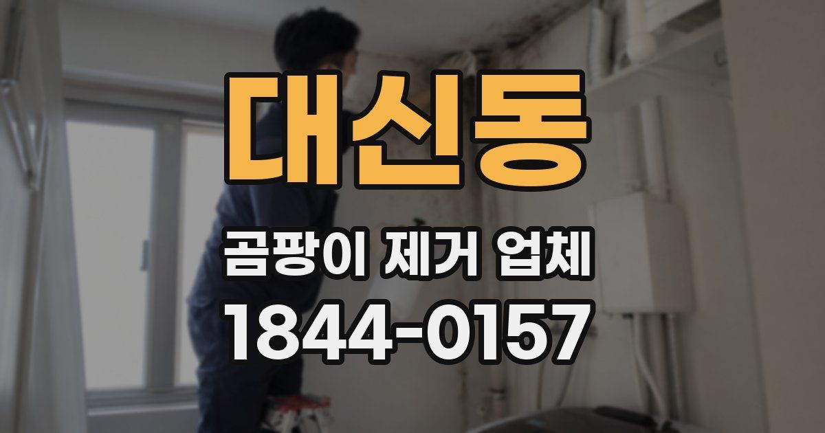대신동 곰팡이 제거 업체