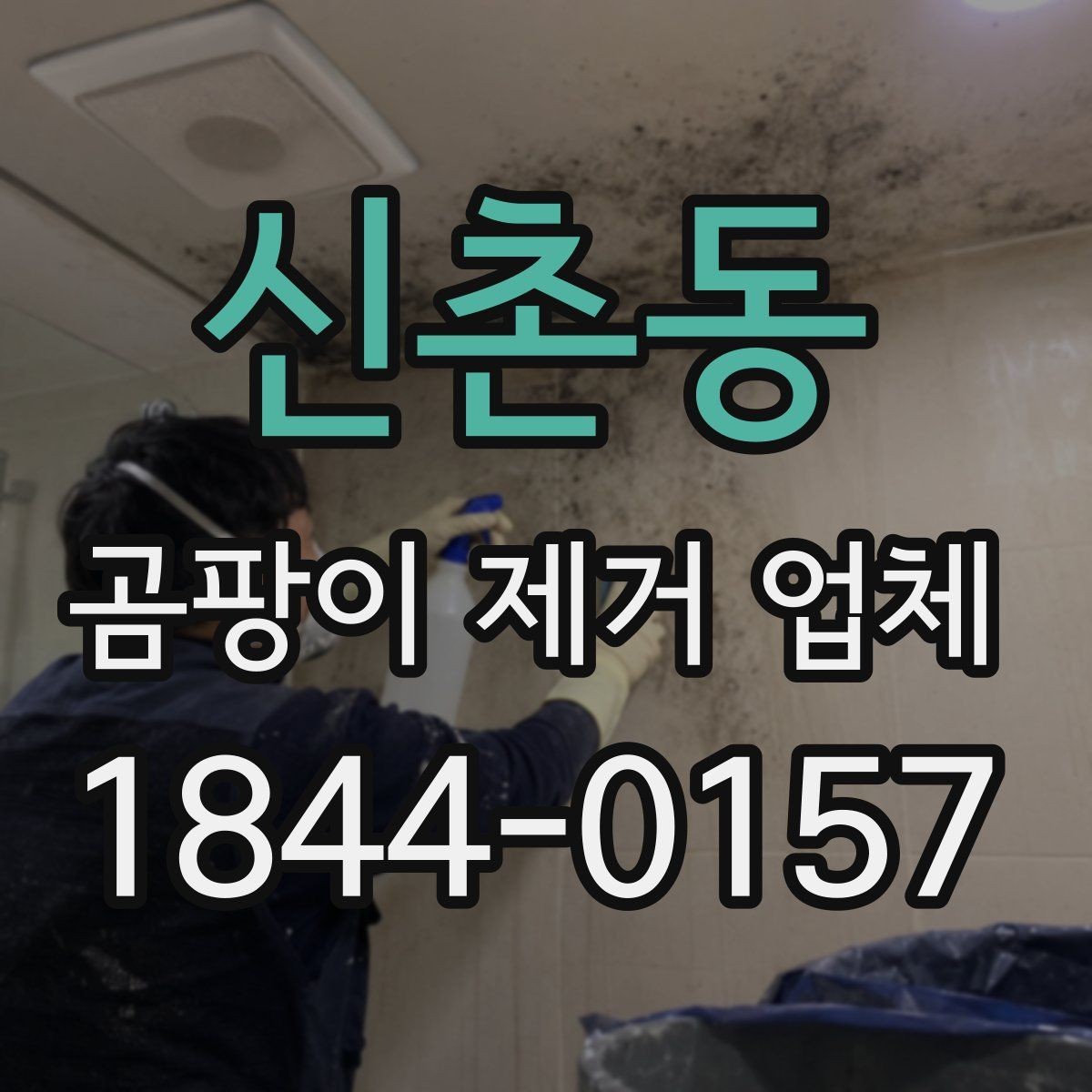 신촌동 곰팡이 제거 업체 공용 벽면 번짐 여부를 확인하는 체크리스트