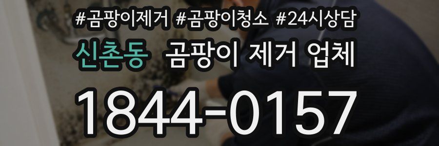 신촌동 곰팡이 제거 업체