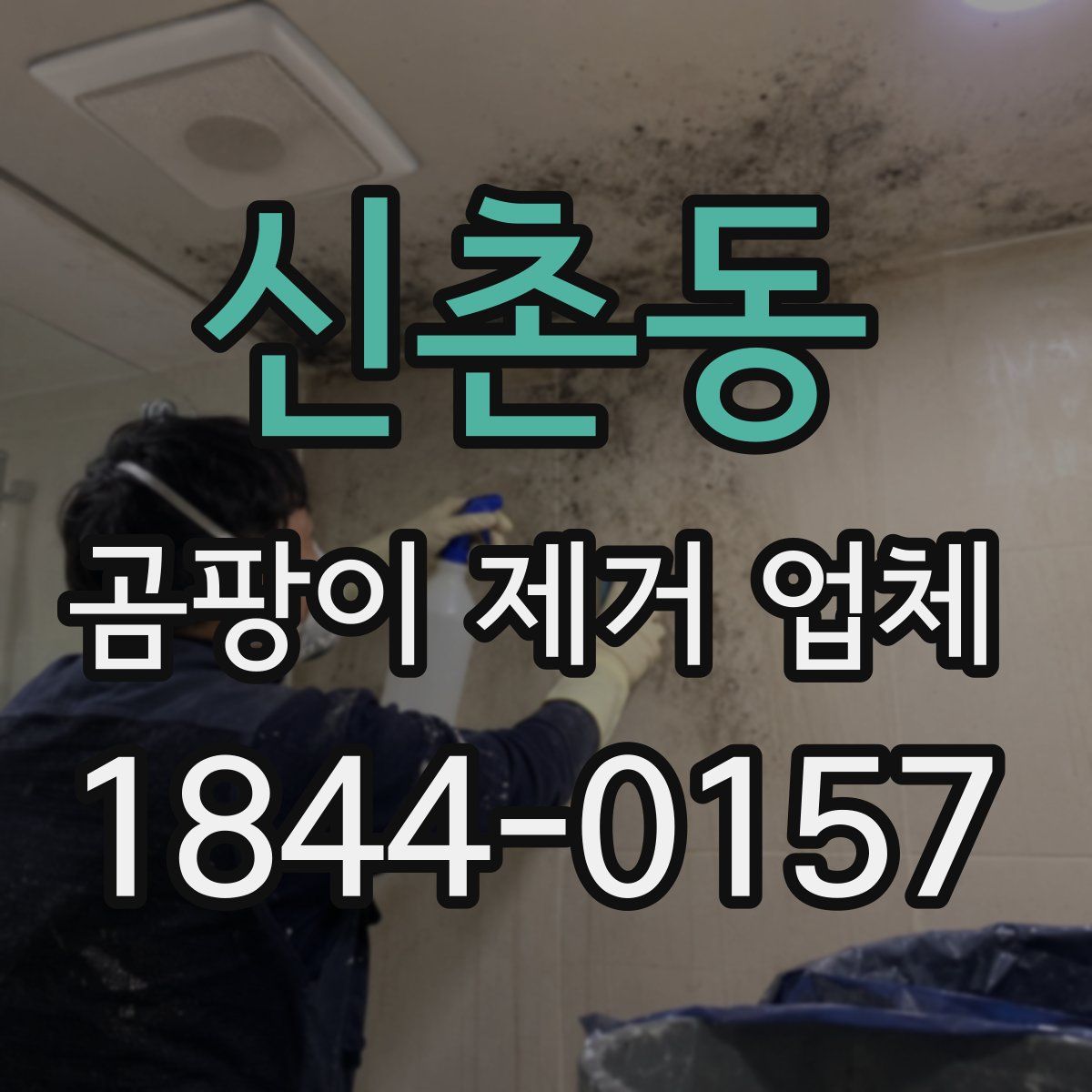 신촌동 곰팡이 제거 업체