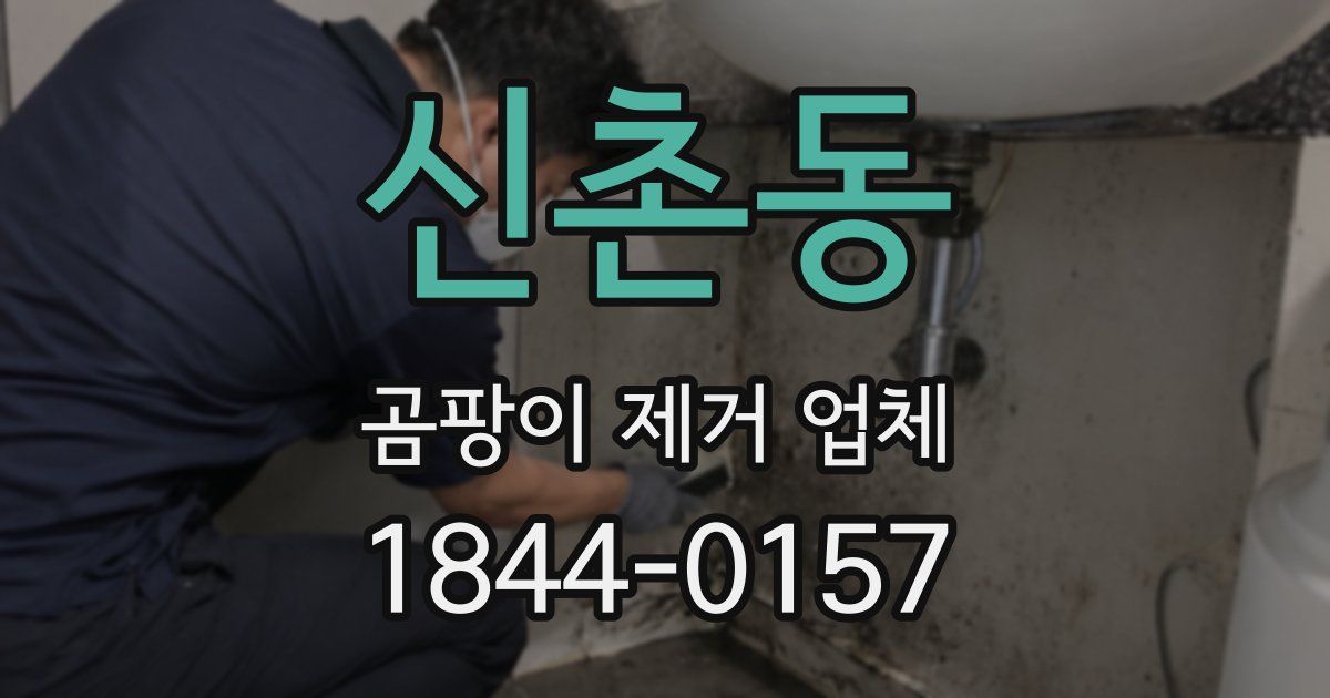 신촌동 곰팡이 제거 업체