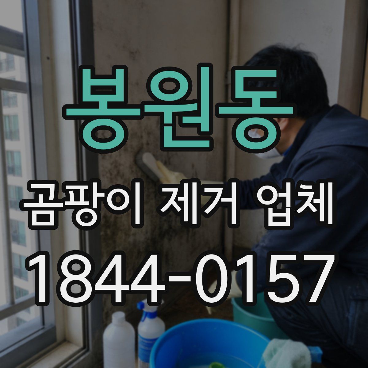 봉원동 곰팡이 제거 업체