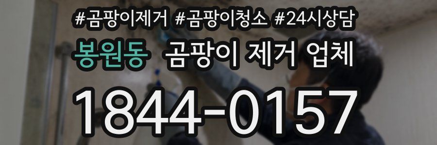 봉원동 곰팡이 제거 업체