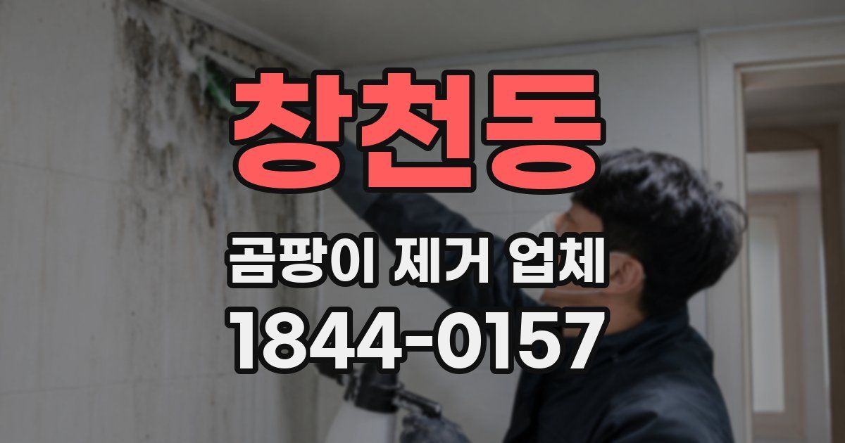 창천동 곰팡이 제거 업체