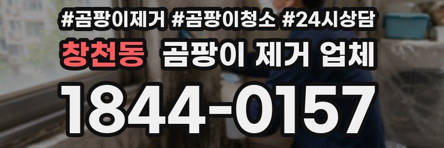 창천동 곰팡이 제거 업체