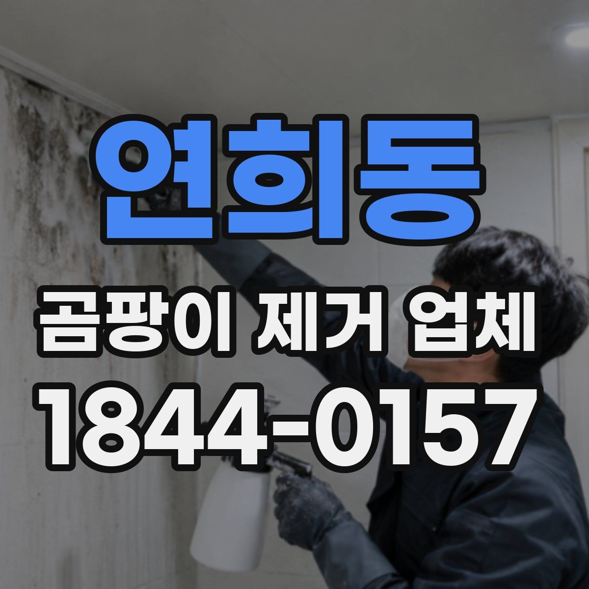 연희동 곰팡이 제거 업체
