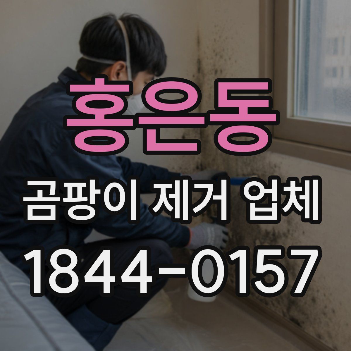 홍은동 곰팡이 제거 업체
