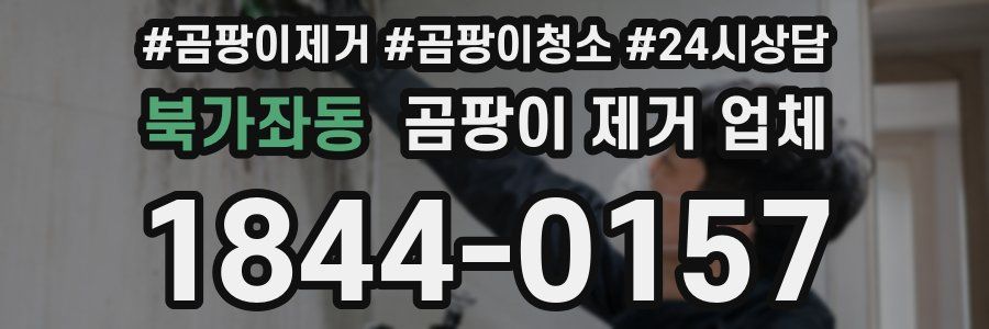 북가좌동 곰팡이 제거 업체