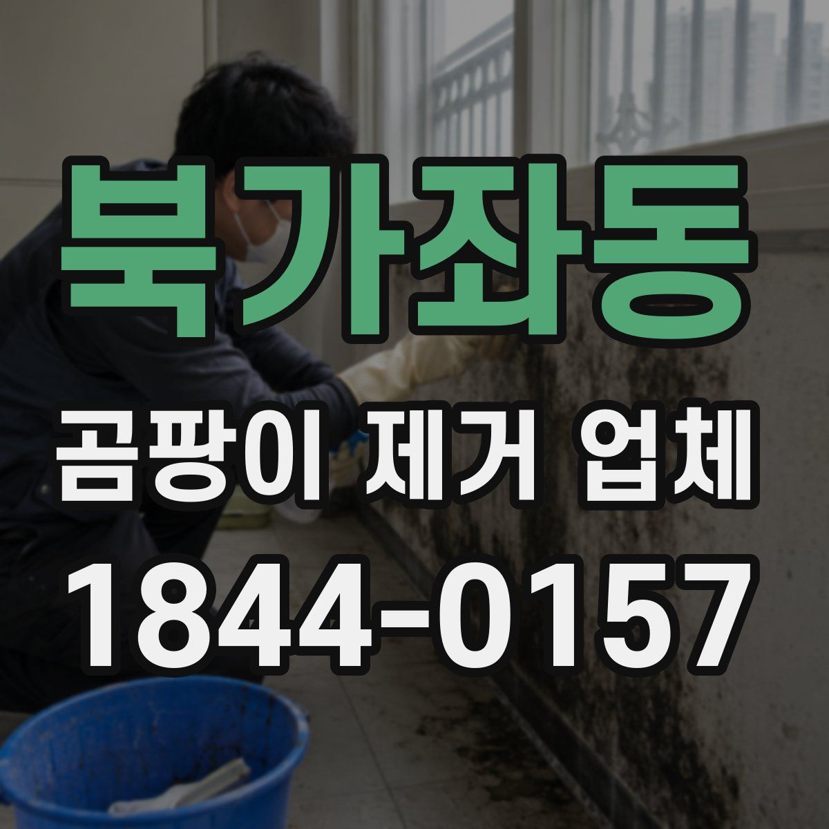 북가좌동 곰팡이 제거 업체