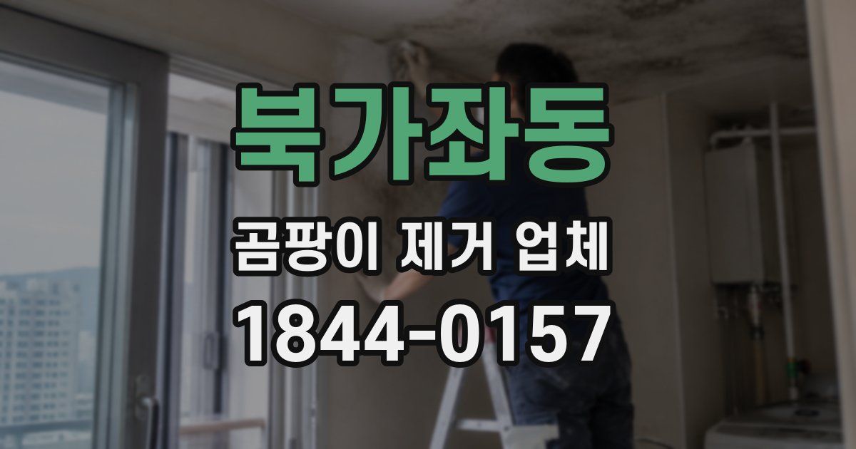북가좌동 곰팡이 제거 업체