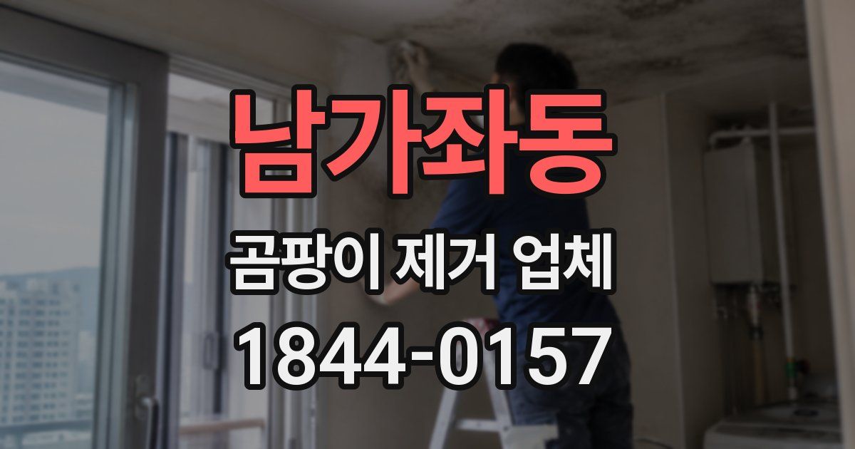 남가좌동 곰팡이 제거 업체