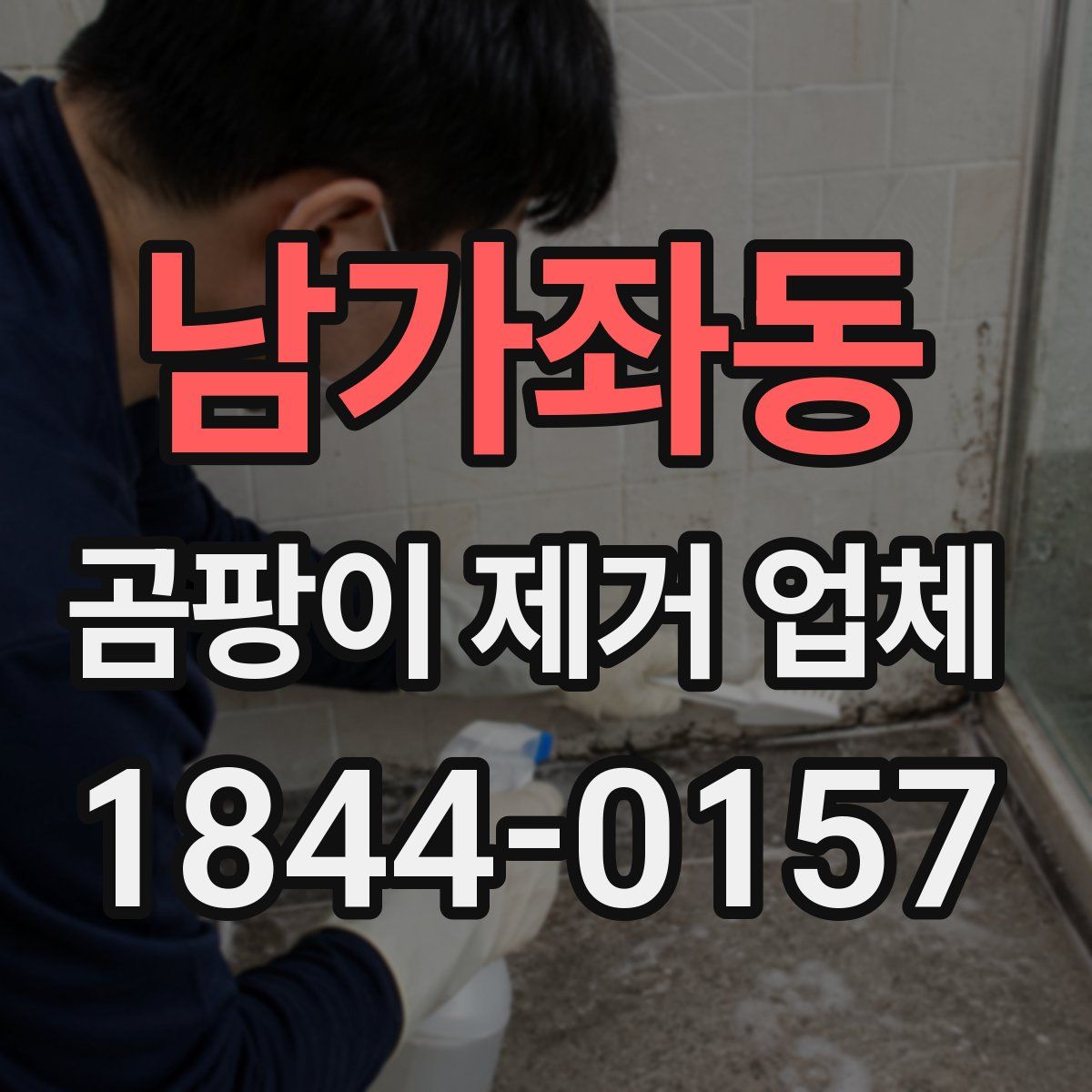 남가좌동 곰팡이 제거 업체