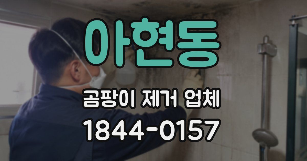 아현동 곰팡이 제거 업체