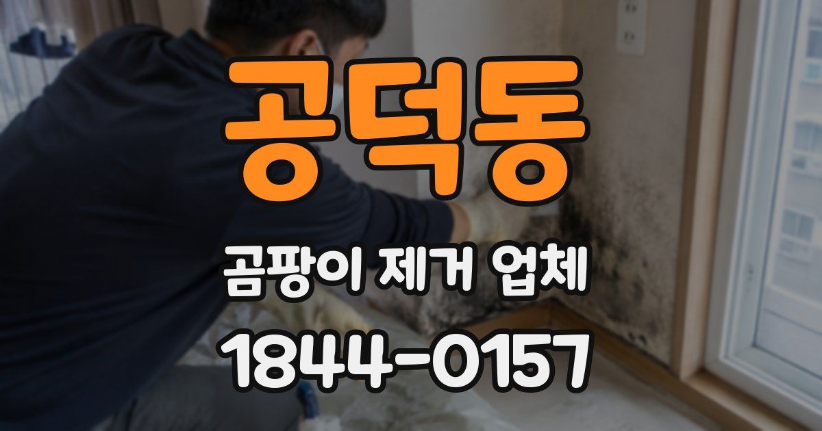 공덕동 곰팡이 제거 업체
