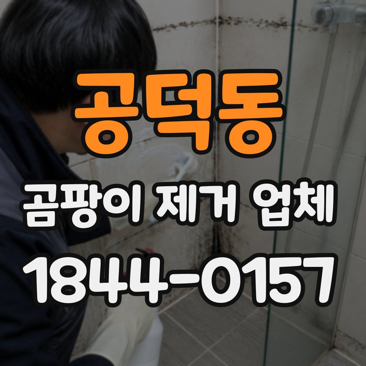 공덕동 곰팡이 제거 업체