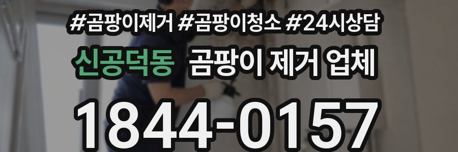 신공덕동 곰팡이 제거 업체