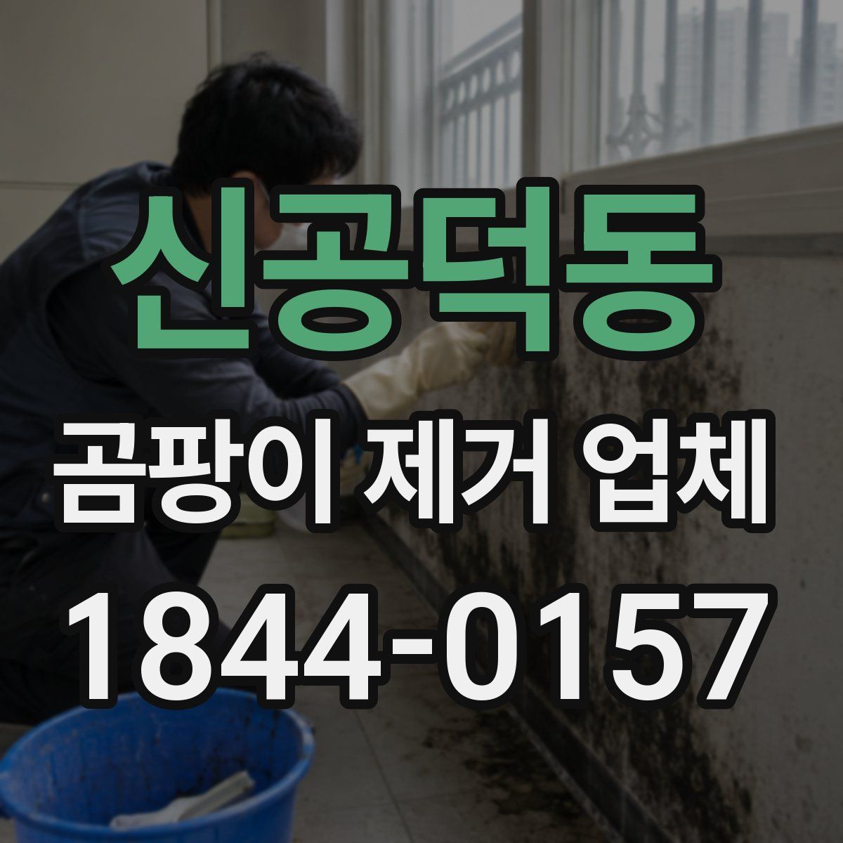 신공덕동 곰팡이 제거 업체
