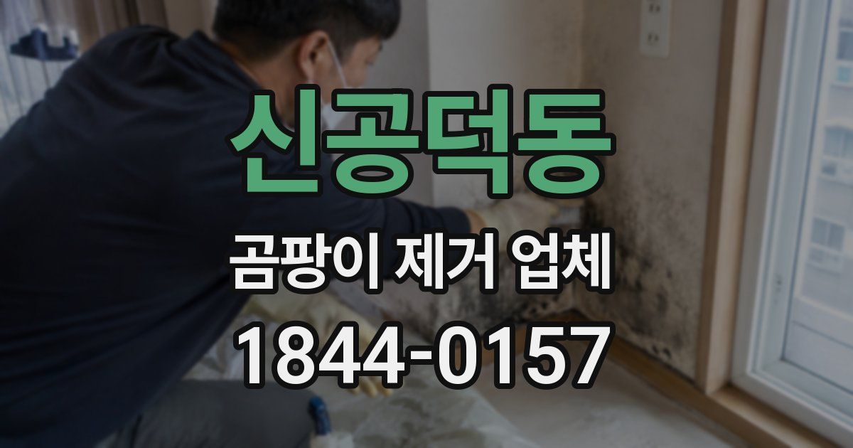 신공덕동 곰팡이 제거 업체