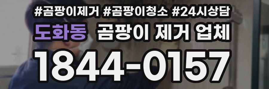 도화동 곰팡이 제거 업체