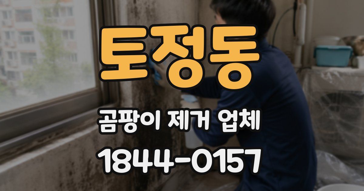 토정동 곰팡이 제거 업체