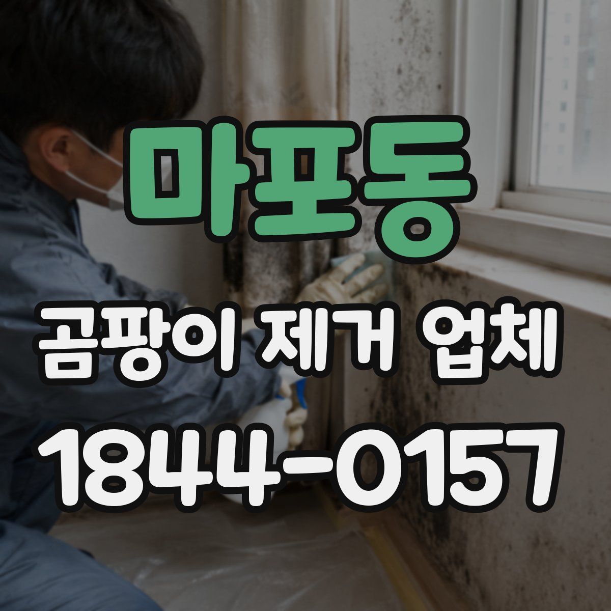 마포동 곰팡이 제거 업체