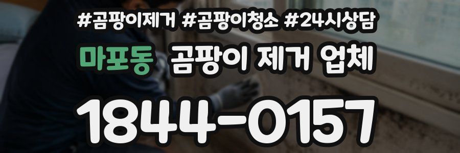 마포동 곰팡이 제거 업체