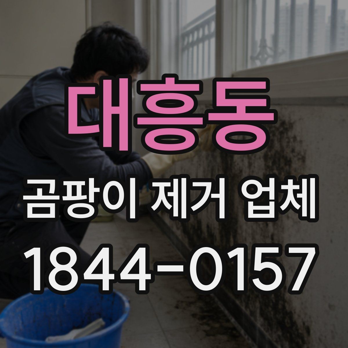 대흥동 곰팡이 제거 업체 오염 면적이 커질수록 달라지는 작업 난이도