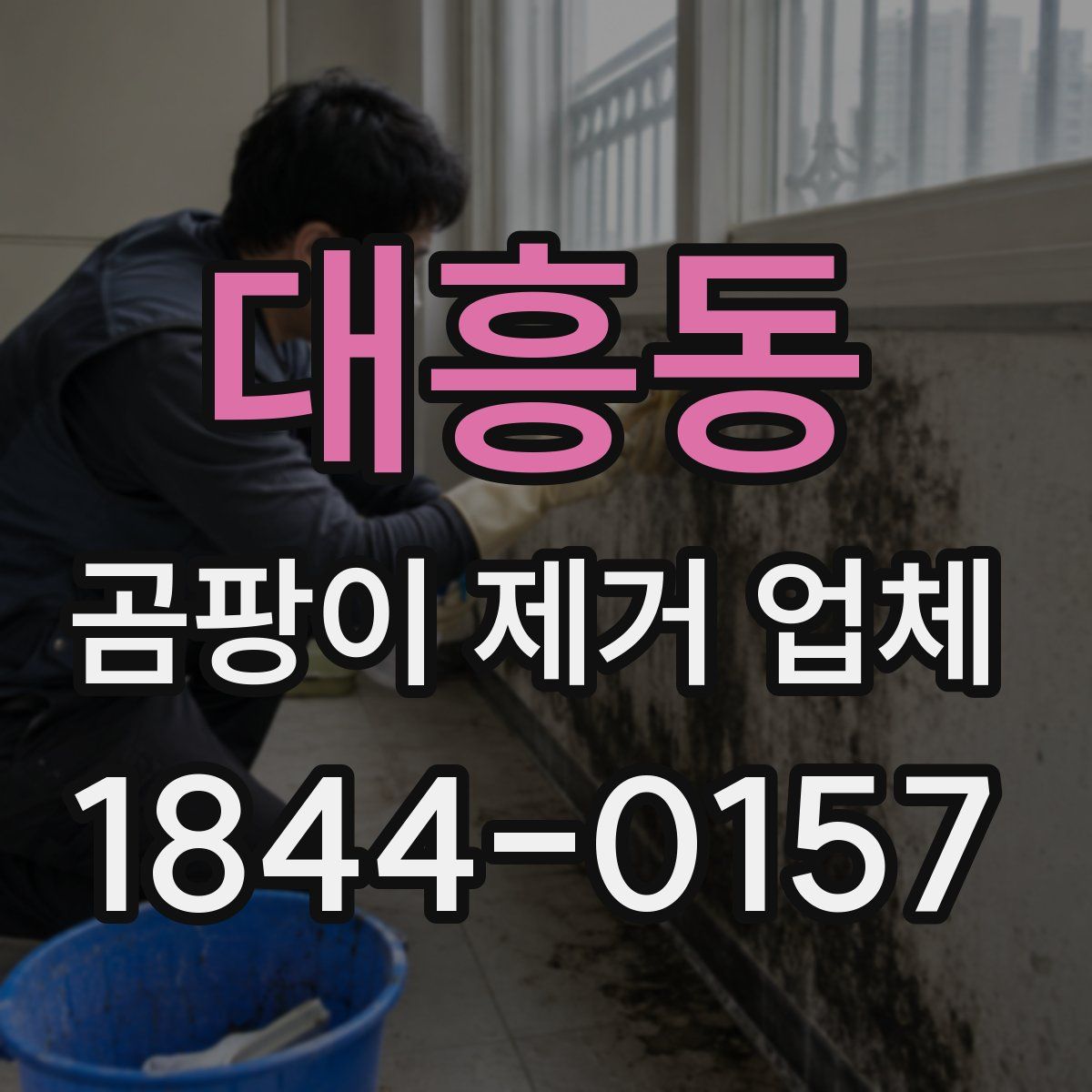 대흥동 곰팡이 제거 업체