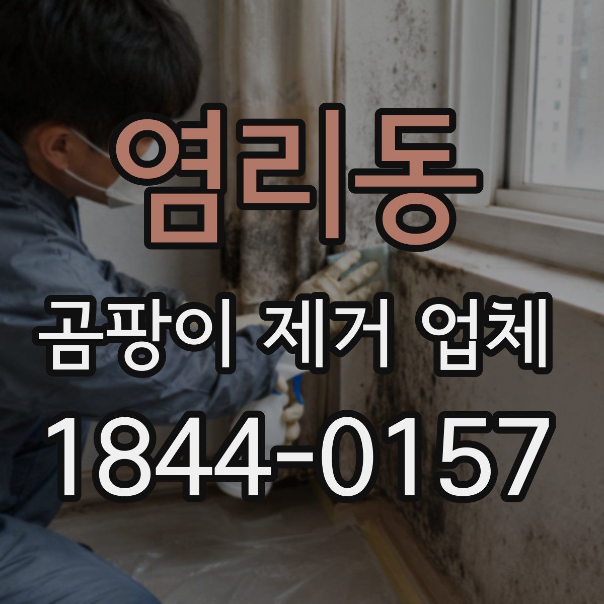 염리동 곰팡이 제거 업체