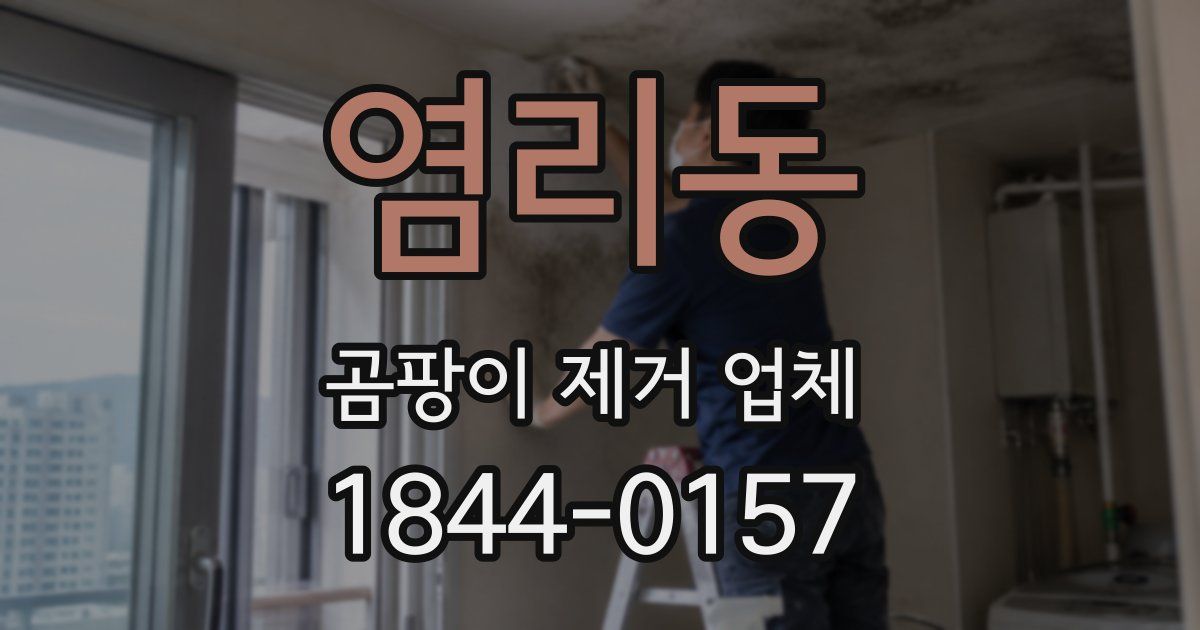 염리동 곰팡이 제거 업체
