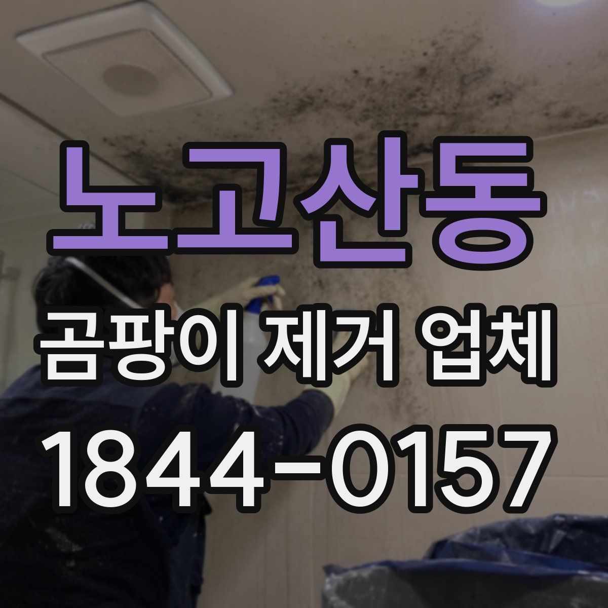 노고산동 곰팡이 제거 업체