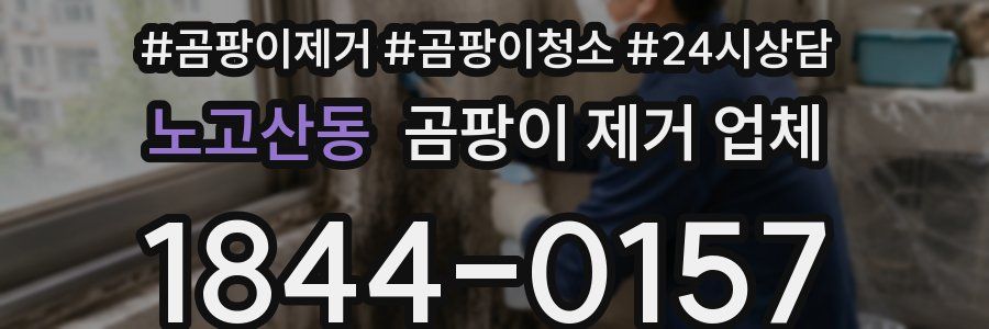 노고산동 곰팡이 제거 업체