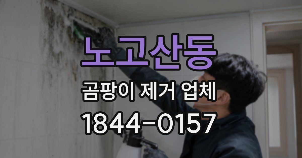 노고산동 곰팡이 제거 업체