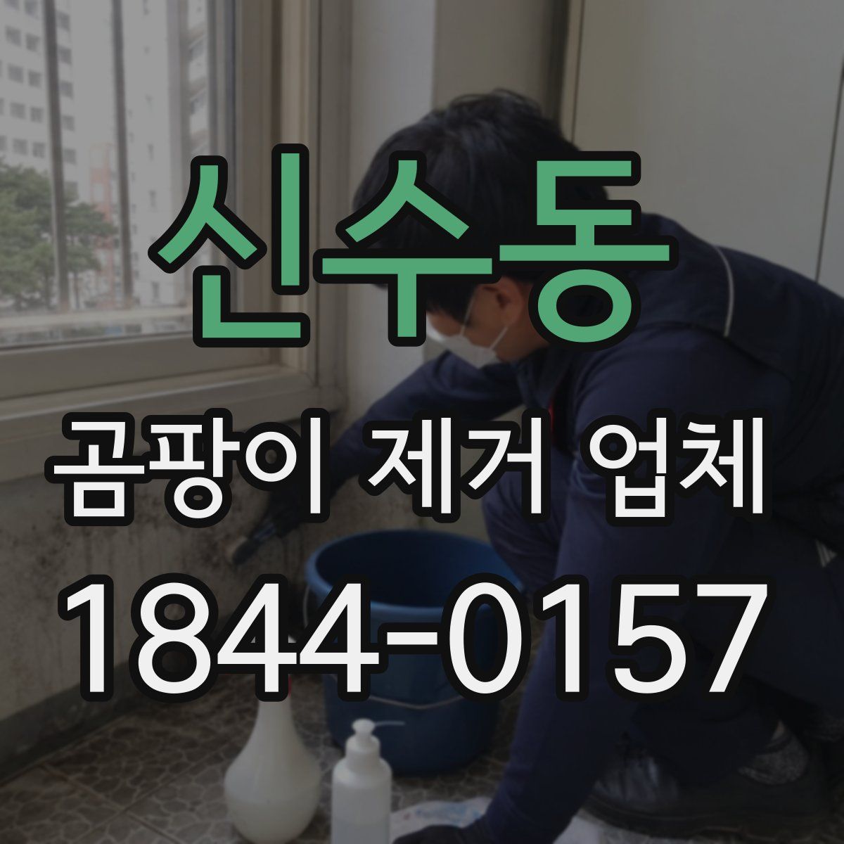 신수동 곰팡이 제거 업체