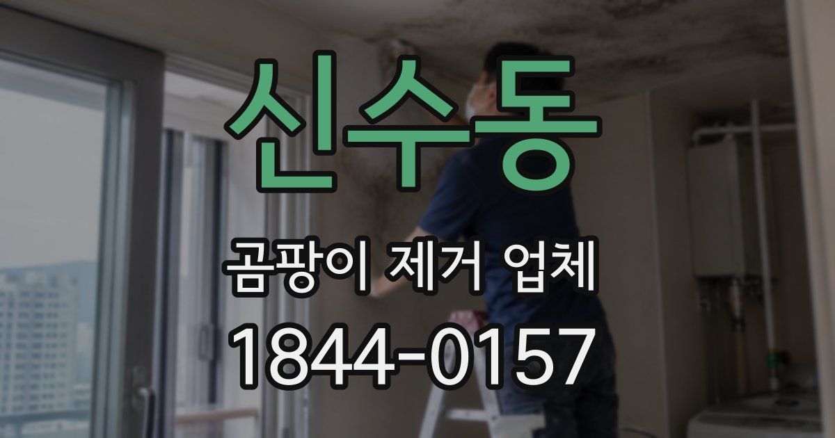 신수동 곰팡이 제거 업체