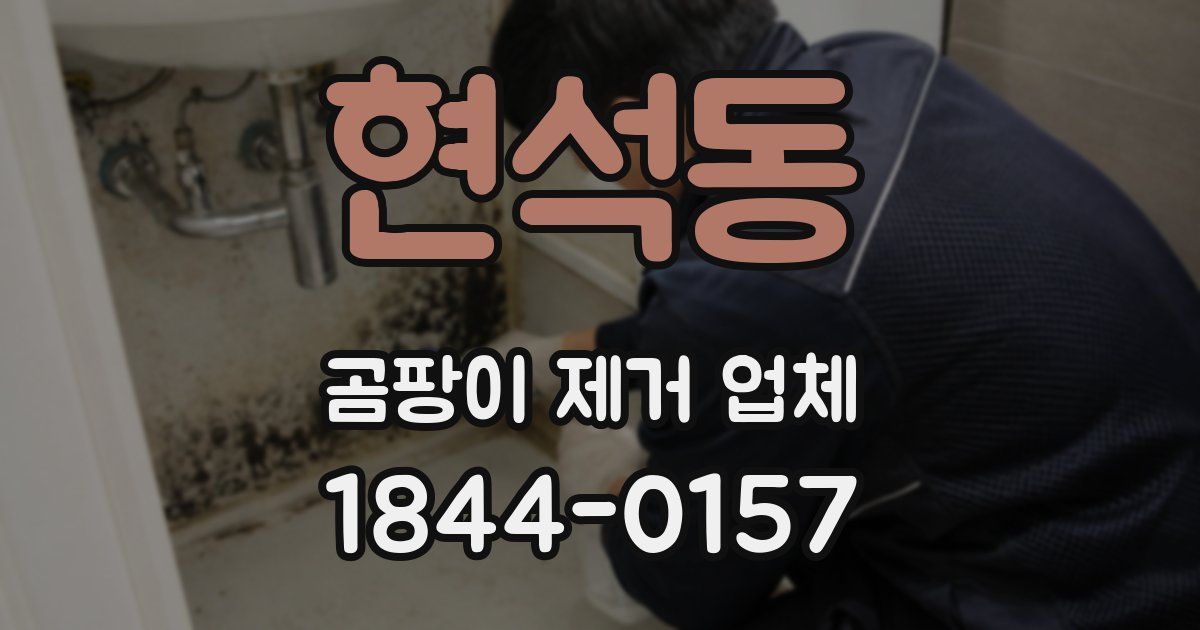 현석동 곰팡이 제거 업체