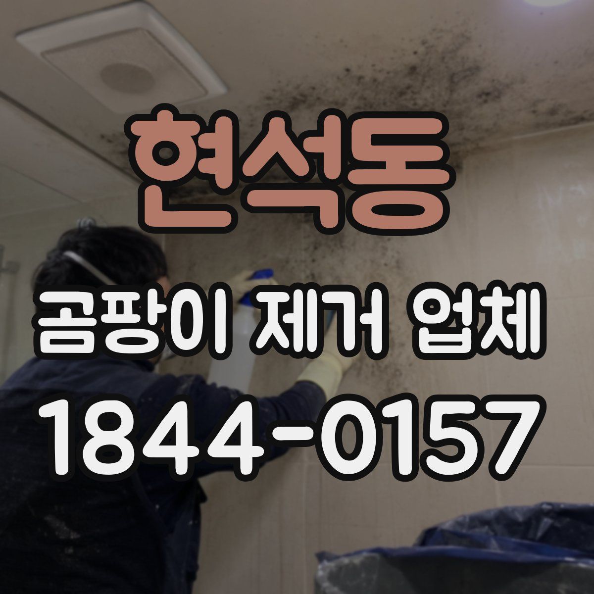 현석동 곰팡이 제거 업체