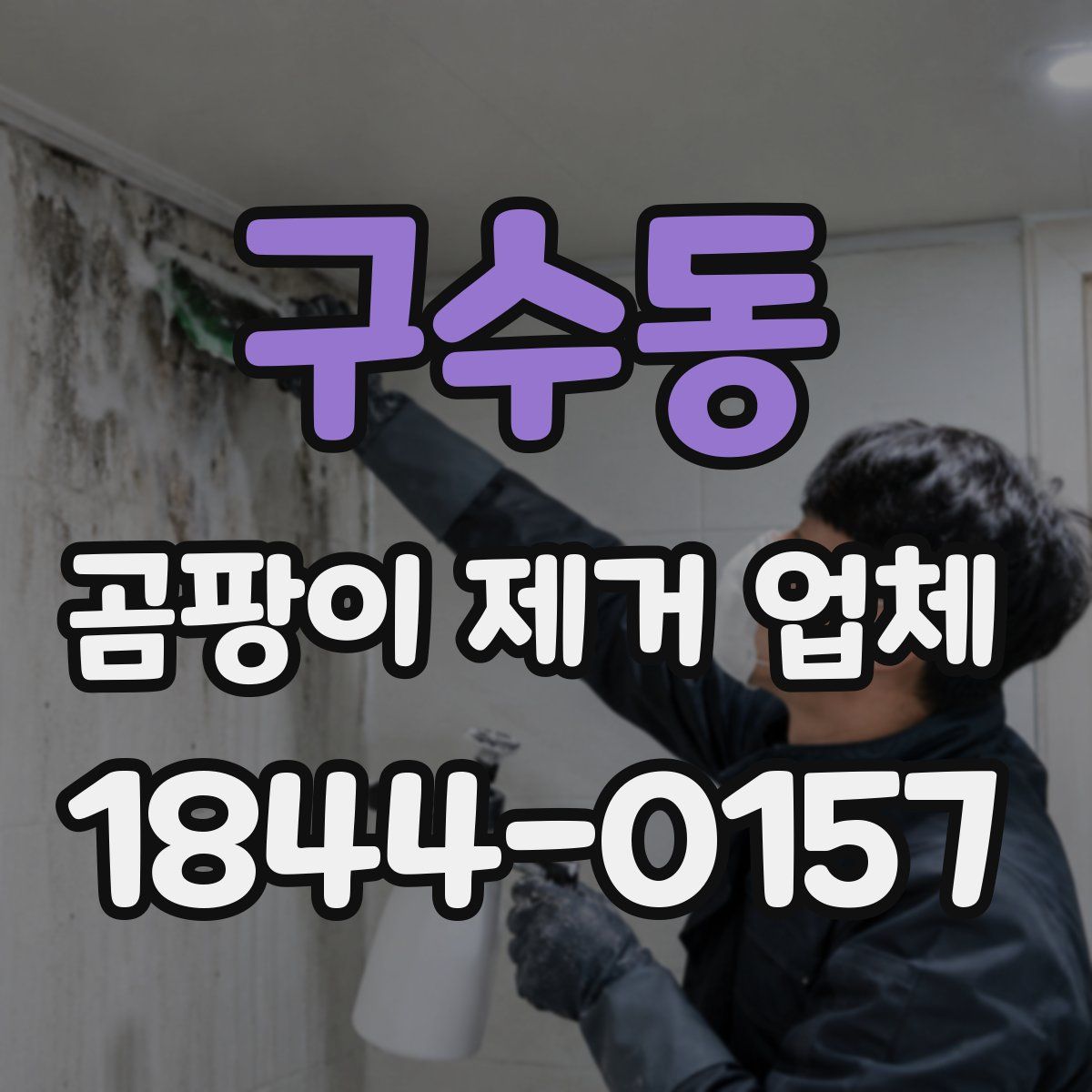 구수동 곰팡이 제거 업체