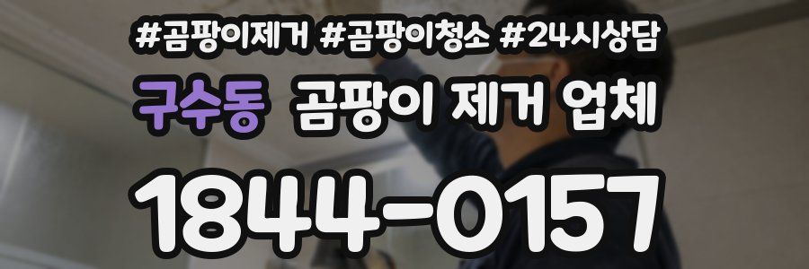 구수동 곰팡이 제거 업체