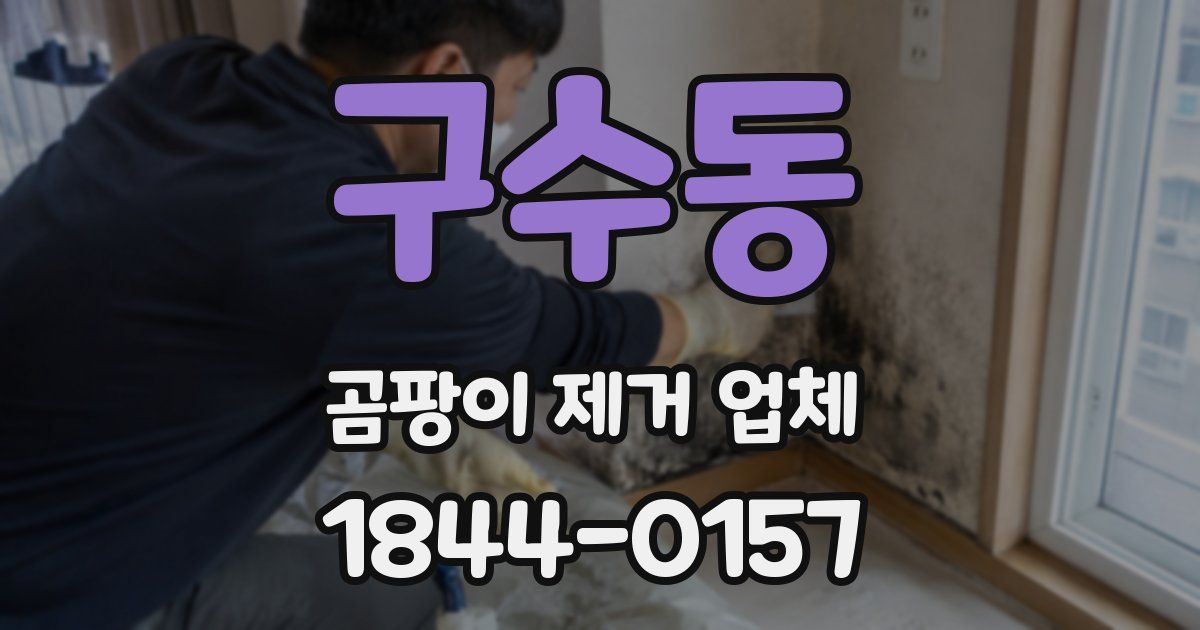 구수동 곰팡이 제거 업체