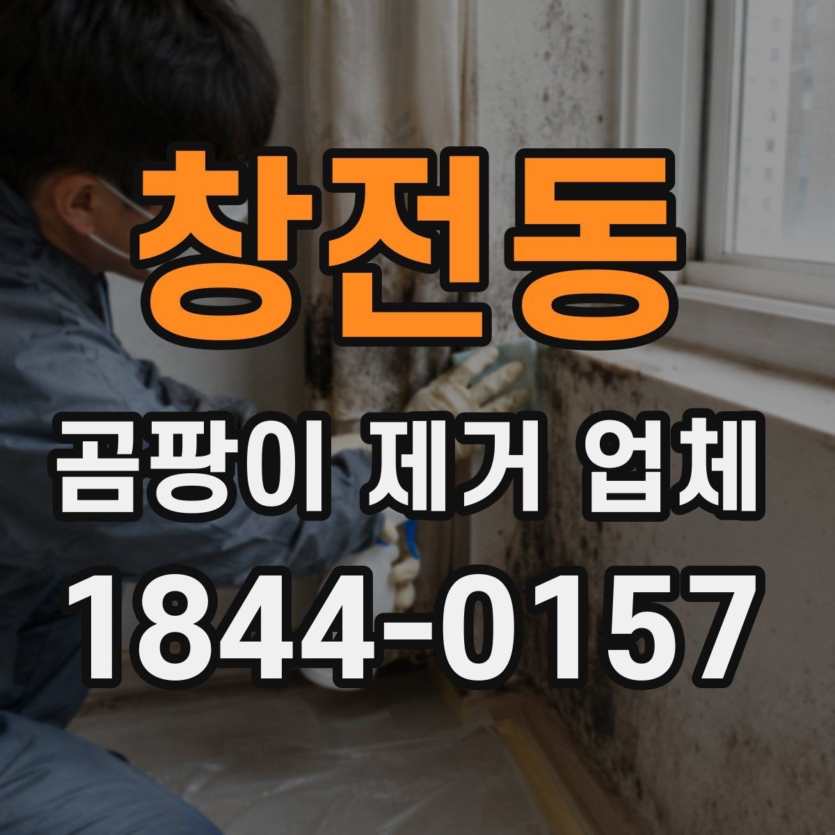 창전동 곰팡이 제거 업체 작업 전 사진 기록이 중요한 이유