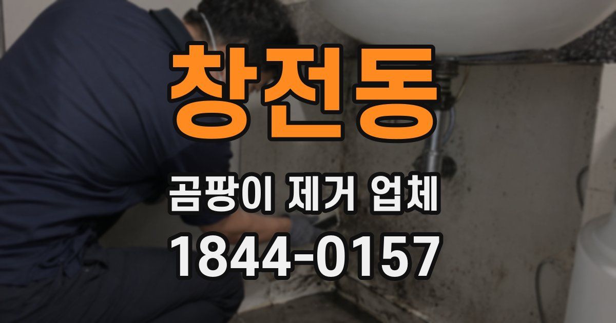 창전동 곰팡이 제거 업체