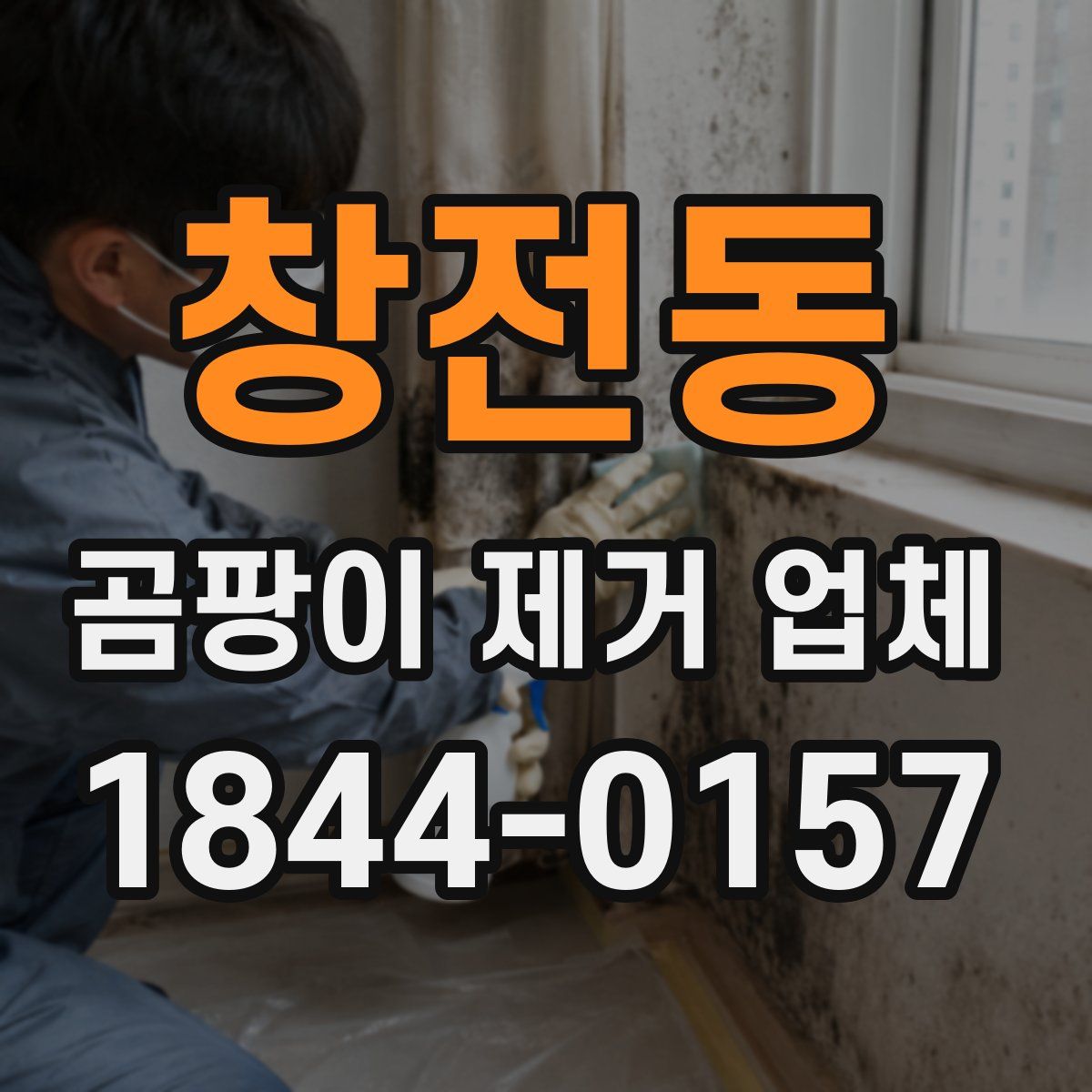 창전동 곰팡이 제거 업체